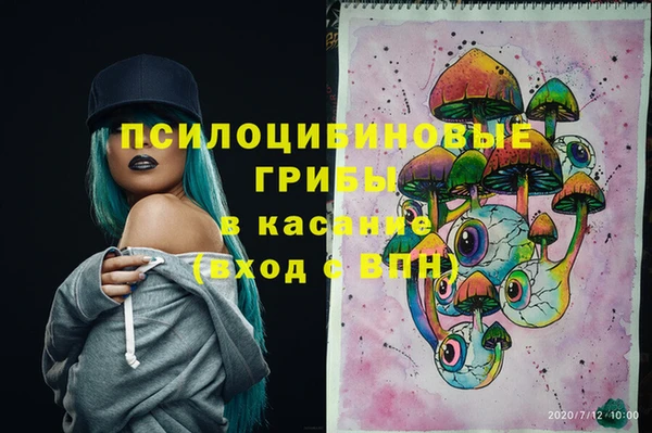 mdpv Переславль-Залесский