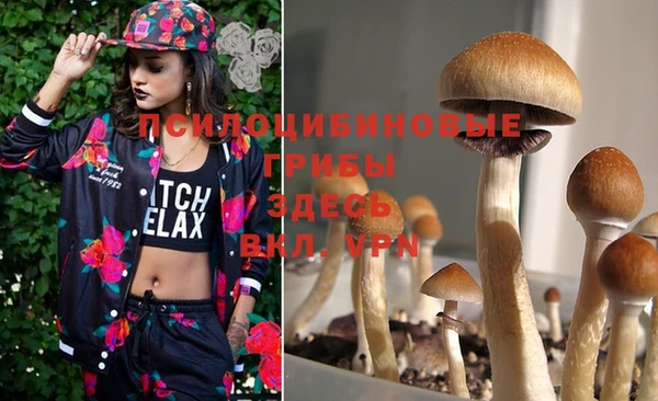 jwh Армянск